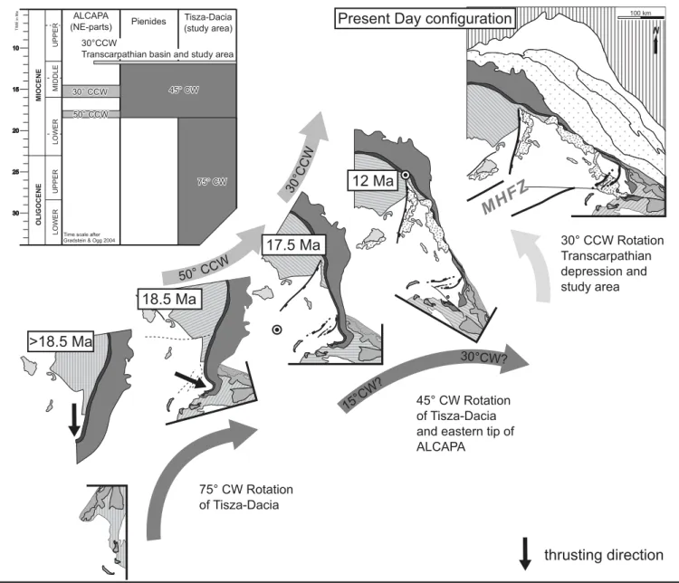 Fig. 11. Sketch of the proposed rotational history of the study area and the NE parts of ALCAPA.