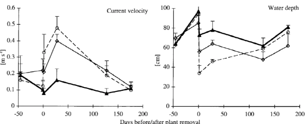 Figure 2. Current velocity and water depth in the control (solid line), cut (dashed line) and dredged reaches (fine line) in the Chriesbach