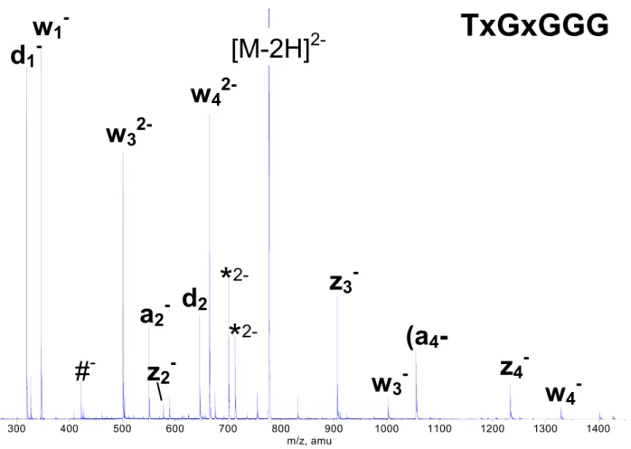 Figure 5. Product ion spectrum of TxGxGGG. Abundant peaks of w 3 2⫺ - and w 4 2⫺ -ions indicate that the charge is preferably located on unmodified phosphate groups