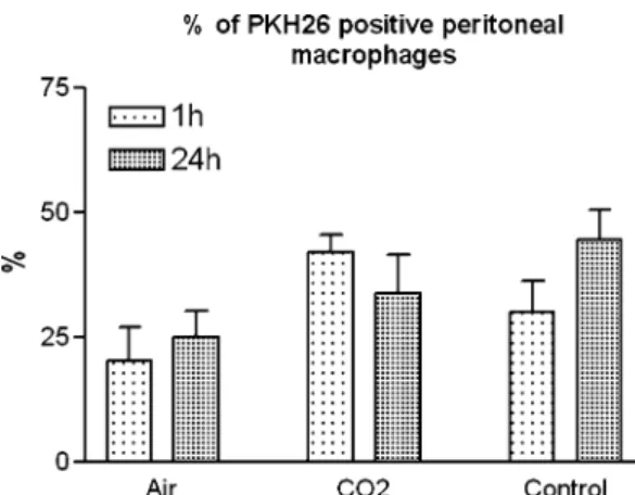 Fig. 1. After air exposure, signiﬁcantly fewer PKH26-positive perito- perito-neal macrophages were found in the lavage ﬂuid after 1 and 24 h