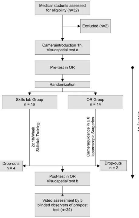 Fig. 1 Study flowchart