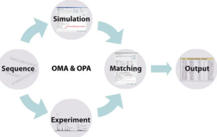 Figure 1. General workflow of the OMA and OPA software.