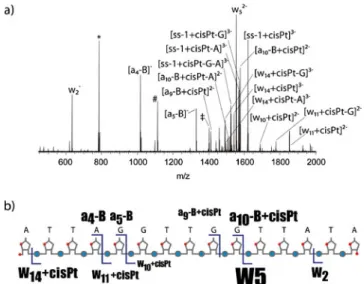 Figure 6. ( a ) Product ion spectrum and sequence of the platinated 2'-methoxy-methylphosphonate RNA