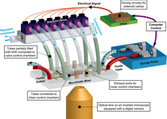 Fig. 3 Illustration of the experimental setup for mixing characterization. After the fluids (de-ionized water (DIW) and E122 colored solution) are introduced side-by-side to the microfluidic device by a syringe pump, microfluidic valves are pressurized to 