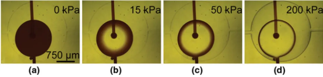 Fig. 4 Optical micrographs of a an open valve and b–d closed valves using an actuation pressure of 15, 50, and 200 kPa, respectively