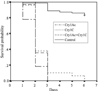 Fig. 1 Survival of Pieris rapae larvae after being fed Bacillus thuringiensis (Bt) broccoli plants and non-Bt control plants from first instar until pupation