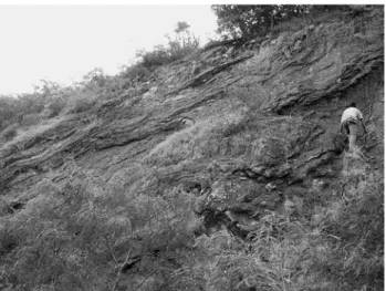 Fig. 3 a Sketch and b photograph of latest Jurassic–Early Cretaceous radiolarite outcrop showing the position of sample  PR-SB01 and PR-SB02