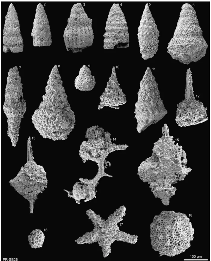 Fig. 7 Pseudoeucyrtis hanni (T AN ). Fig. 8 Obeliscoites cf. vinassai