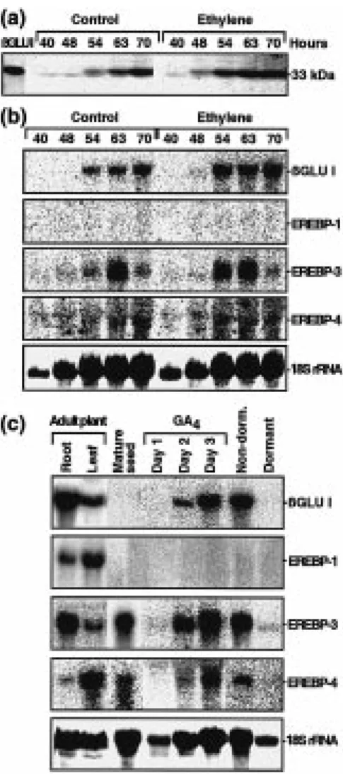 Figure 3a shows that deletion of the region from