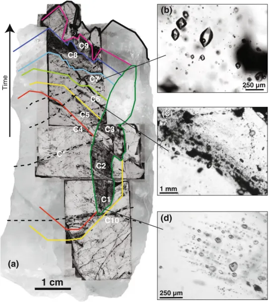 Fig. 5 a Fluid inclusion map of a large euhedral quartz crystal (background) that formed in the center of the open-fissure vein at Thusis, depicting different quartz generations (solid lines) and some secondary FI trails (dotted black lines)