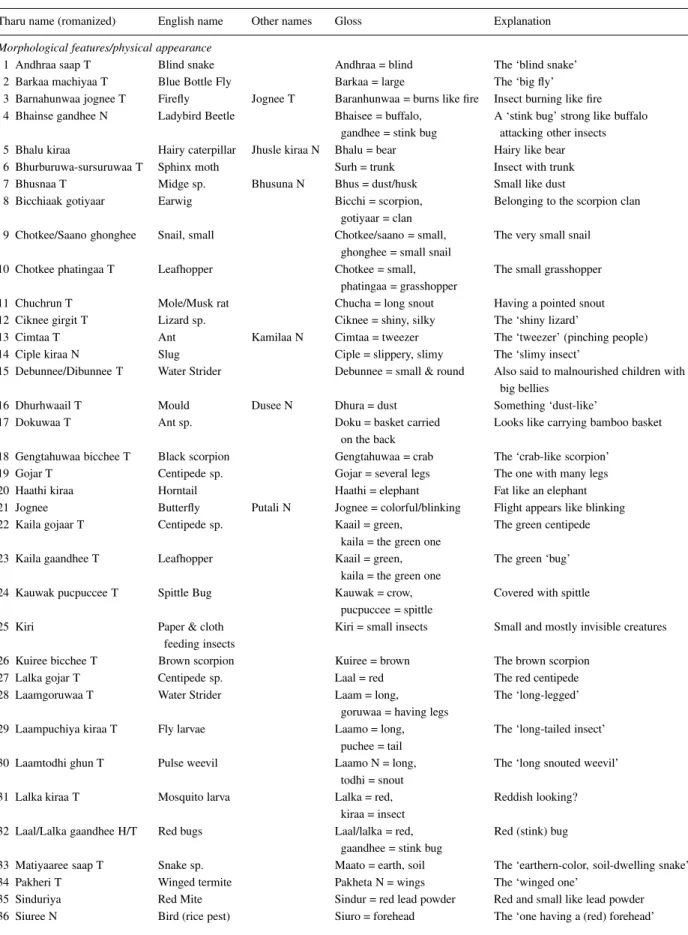 Table 6. Etymology of analyzable kiraa names.