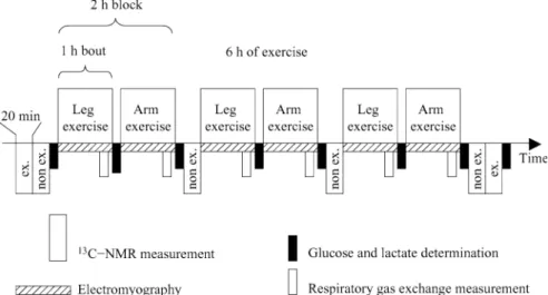 Fig. 1 Exercise protocol