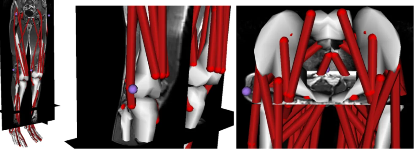 Fig. 2 The MRI task. 3D exploration of MRI and model scaling analysis are possible using this task