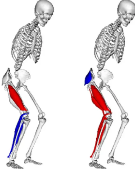 Fig. 6 The EMG task. Muscle activation patterns are compared to ac- ac-tual EMG signals