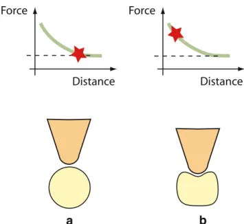 Fig. 2 In the force-mapping mode, successive force–distance curves are recorded over the entire surface of the sample