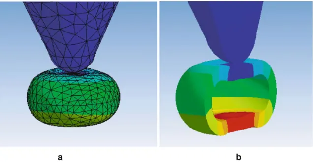 Fig. 4 An example of how finite-element modeling can be used to interpret the indentation of viral capsid in terms of continuum mechanics