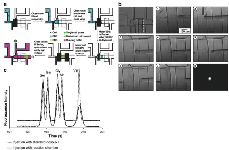 Fig. 2 Single-cell lysis and derivatization. (a) The process of single- single-cell analysis on an integrated microchip
