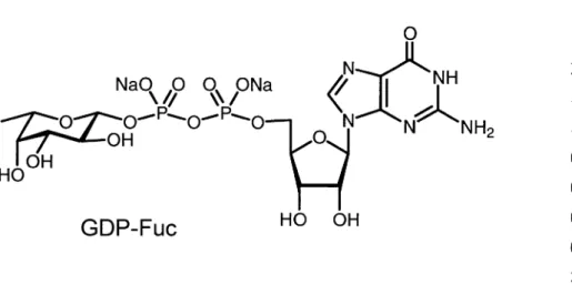 Figure 2c. Selected protocols for the synthesis of GMP-Fuc and non-natural derivatives