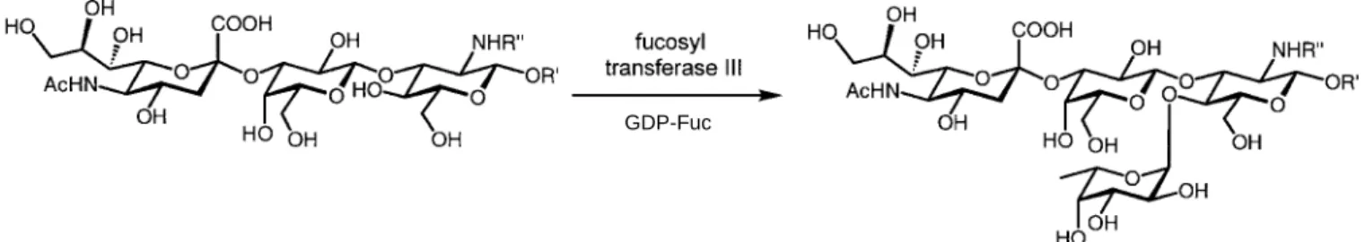 Table 6. Fucosylation of non-natural N-acylglucosamides with GDP-fucose and non-natural GDP-sugars.