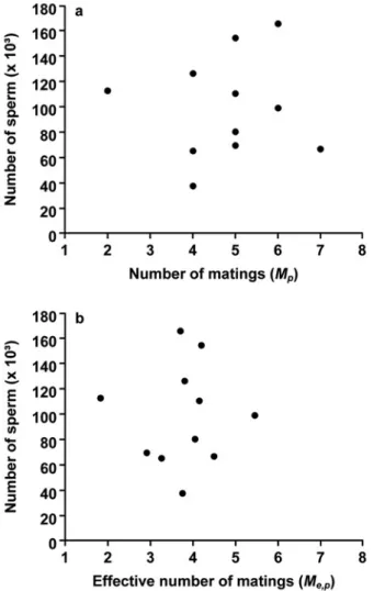 Figure 3. Number of sperm stored per Cataglyphis cursor queen as a function of the absolute number of mates M p (a), and effective number of mates M e,p (b).