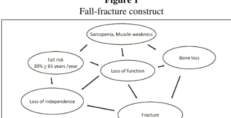 Figure 1 Fall-fracture construct 