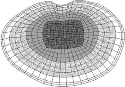 Fig. 2 Rough distribution of endplate properties; each grey shade indicates another elastic modulus