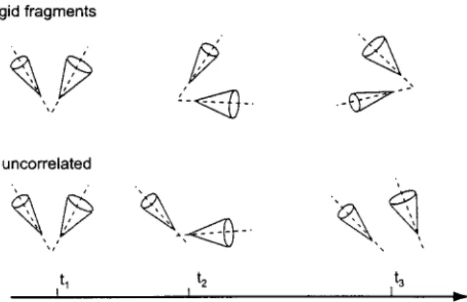 Fig.  1.  Illustration  of two  extremes  of slow  intemal  motions.  Fast  axially  symmetric  uncorrelated  mo-  tions  of the  vectors  u  and  v  are  represented  by  two  cones