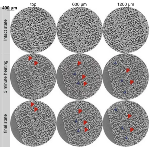 Fig. 3 Cracking morphology is detectable from comparing the sample cross sections at different heights before, during and after heating