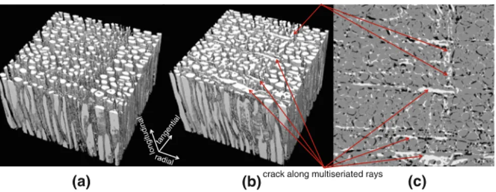 Figure 5 shows the change in gray-level histogram caused by wood heat treatment. The black line corresponds to the histogram of the ROI in intact wood, and the gray line represents the histogram of the same ROI after the heat treatment was complete, both a