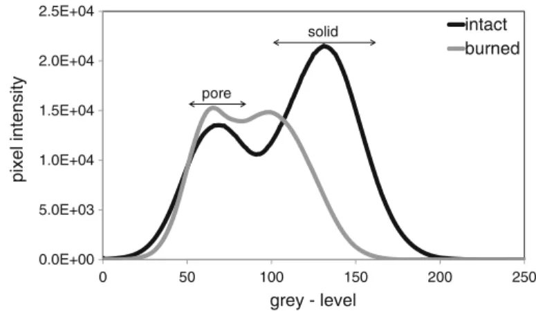 Fig. 5 Gray-level histogram of the sample in the initial state and after combustion shows the change in pore and solid distributions