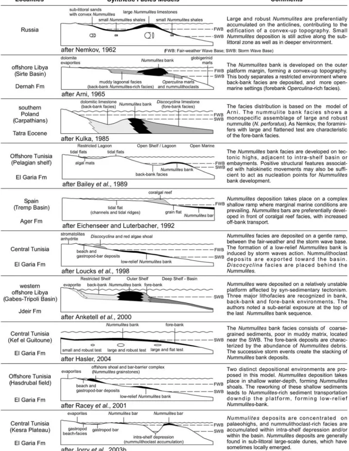 Fig. 2 Comparison between different facies models proposed for interpreting the Nummulites accumulations