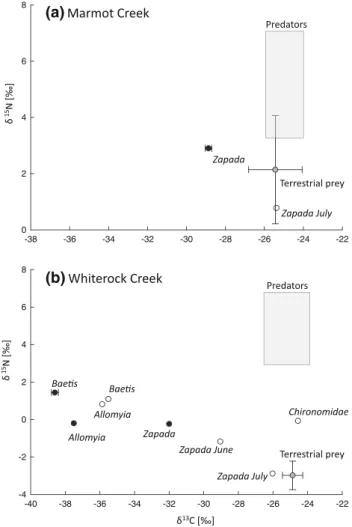 Fig. 3 Comparison of the isotope composition between aquatic larvae and their terrestrial adult stages sampled in Marmot Creek (a) and Whiterock Creek (b)