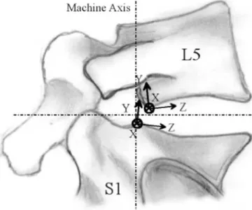 Fig. 2 Schematic sagittal representation of the segment and its associated reference systems