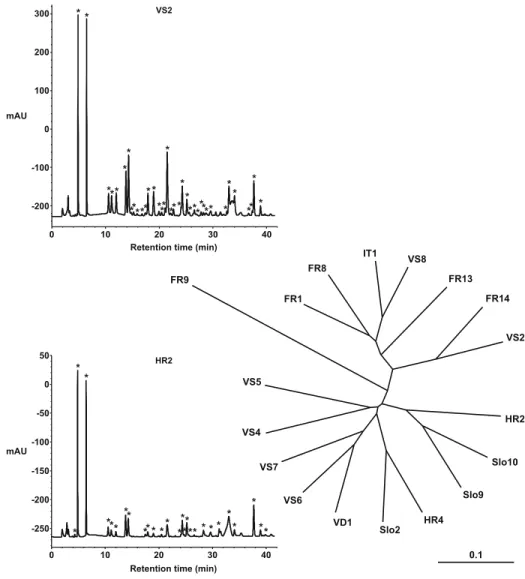 Fig. 1 HPLC traces of defensive secretion of O. speciosa from two populations (with each cardenolide peak shown by an asterisk) and UPGMA clustering of populations based on their cardenolide composition.