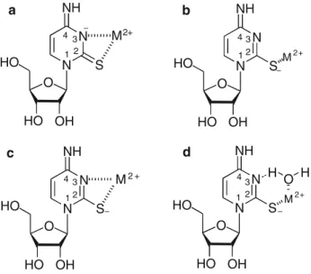 Fig. 5) for the M(C2S-H) + complexes need to be taken into account.