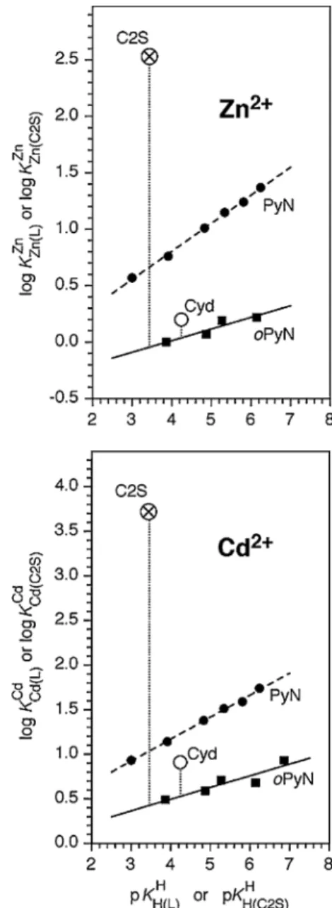 Fig. 4 Evidence for an increased stability of the M(C2S) 2+ com- com-plexes of Zn 2+ and Cd 2+ () based on the comparison of their data points (values from Table 1; 25 °C; I = 0.5 M, KNO 3 ) with the log K M(L)M versus pK H(L)H straight-line relationships 
