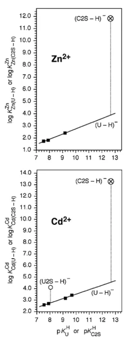 Table 3 Stability constant comparisons for the Zn(C2S-H) + and Cd(C2S-H) + complexes between the measured stability constants (Eqs