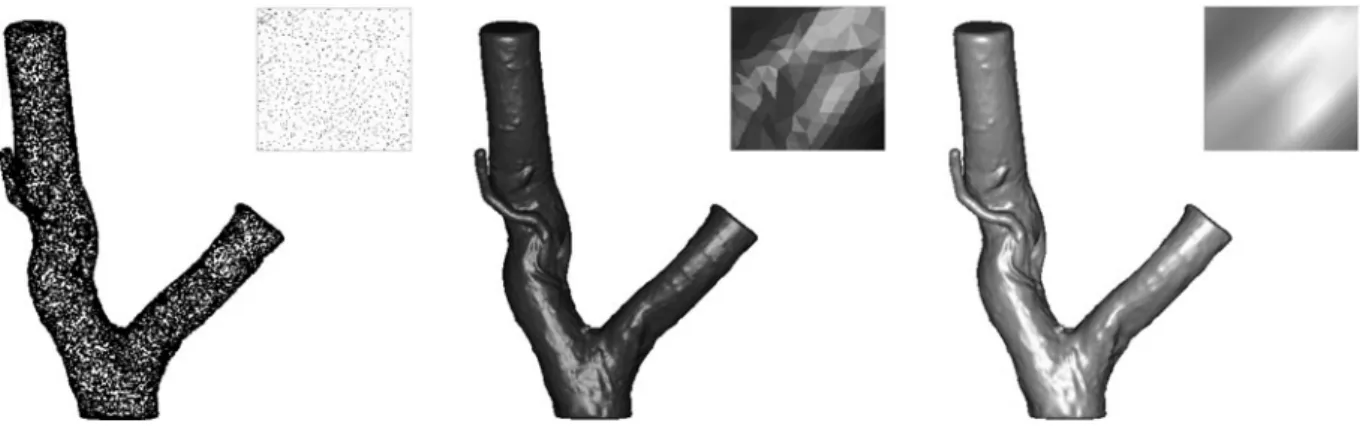 Fig. 2 Point cloud representation of a root segment (left) and resulting surface models based on triangulation (center) and non rational b-splines (NURBS, right)