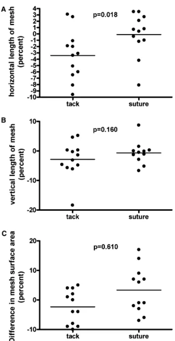 Fig. 3 Graphs representing change of mesh size at 6 month after mesh implantation in horizontal (A) and vertical (B) directions, and difference in calculated mesh area (C)