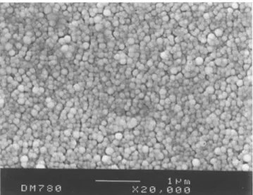 Fig. 2  Scanning  electron  micrography  of  PLA  nanoparticles  pre-  pared  by the  emulsification-diffusion  method 