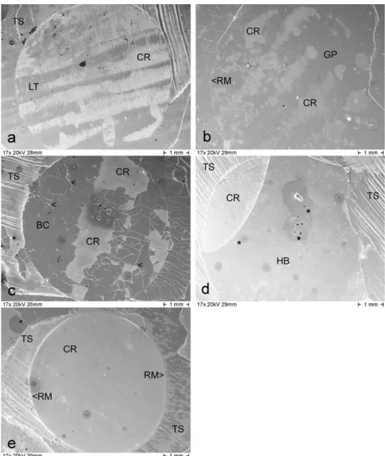 Fig. 5 SEM photomicrographs of one surface of each group (magnification, ×17) at the end of the ageing procedure ( M8 ).