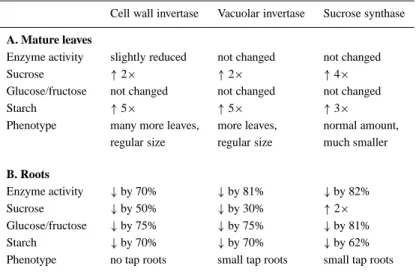 Table 2. Analysis of mature leaves and roots of transgenic carrot plants expressing antisense mRNA for different sucrose-cleaving enzymes.
