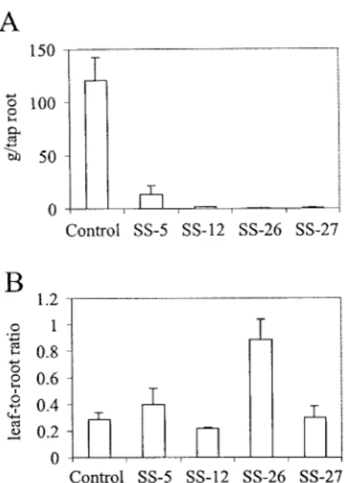 Figure 4. Fresh weight of tap roots (A) and leaf-to-root dry weight ratios (B) of transgenic carrot plants with antisense inhibition of sucrose synthase activity