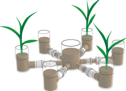 Fig. 2 Drawing of a below- below-ground six-arm olfactometer as used to demonstrate the importance of inducible root volatiles for the attraction of EPNs