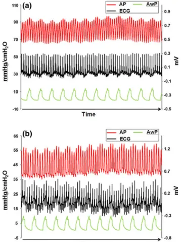 Fig. 2 Simultaneous recording of Airway Pressure (AwP), ECG, and arterial pressure (AP) waveforms in PIG 9