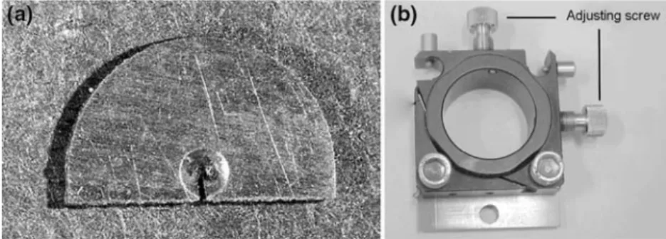 Fig. 3 Tensile testing mini-press attachments. a Semi-circular steel piece with conical holes working as the clamps, b micro-band with two screws for adjusting the tracheid alignment