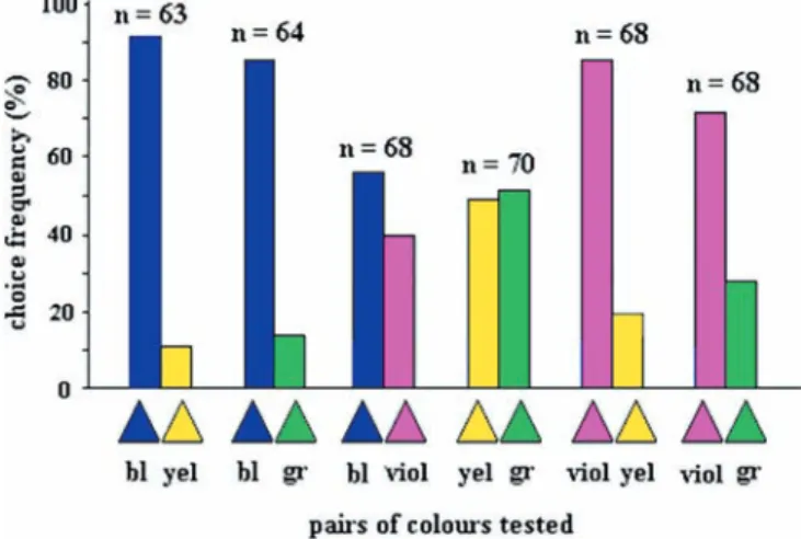 Fig. 2 Results of colour discrimination tests. Wasps trained with a blue square (positive) versus a yellow square (negative) are tested with various pairs of coloured triangles (abscissa) as speciﬁed