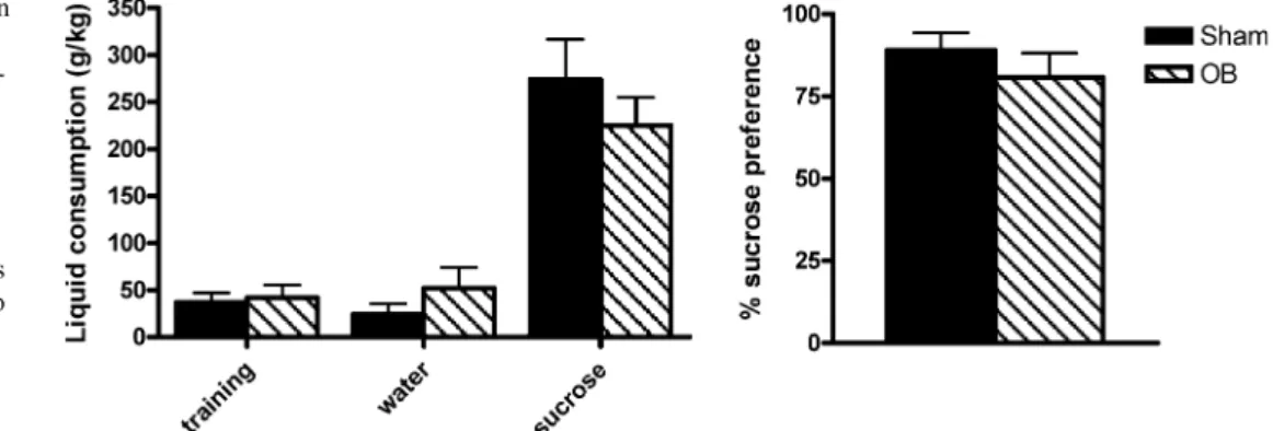 Fig. 1 The effect of surgery on total water, total sucrose and percent sucrose preference  vari-ables during the 48-h sucrose preference paradigm and water intake during the 24-h training phase