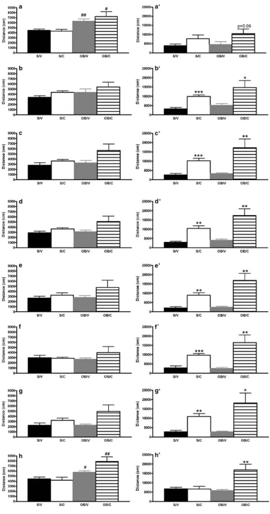 Fig. 2 Effect of bulbectomy on baseline and cocaine-induced locomotor activity in the rat.