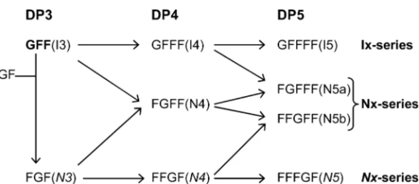 Figure 1. Scheme of the synthesis of different onion-type fructans by 6G-FFT. Every step uses 1-kestose or a higher DP fructan, as the fructosyl donor
